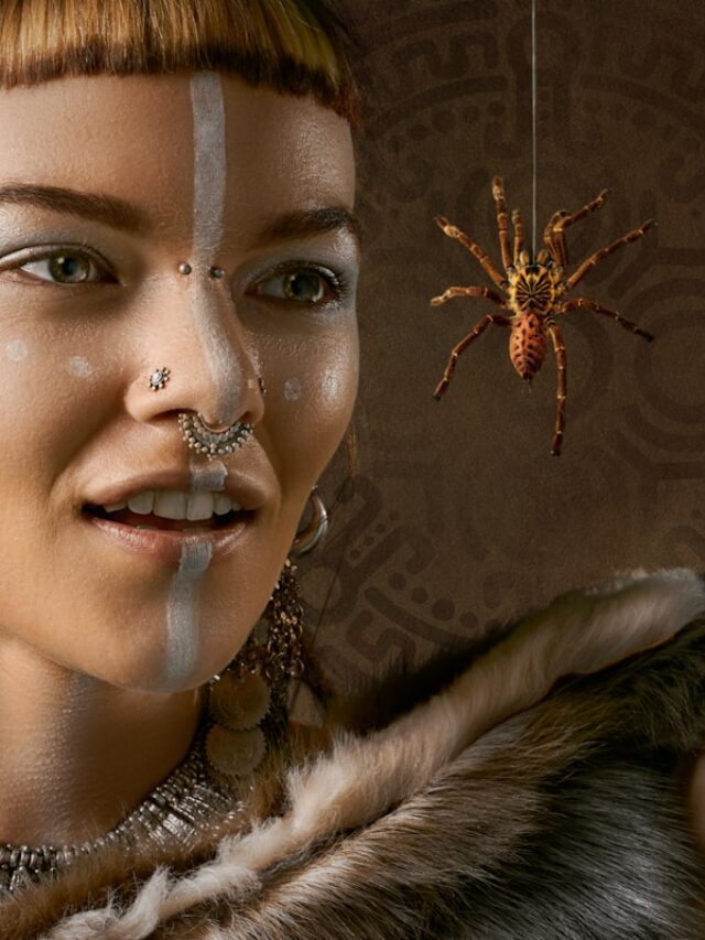 7 curiosidades sobre as aranhas
